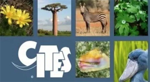 10fd039087ba61f993aa21a731cb6fb6.jpg 1.jpg