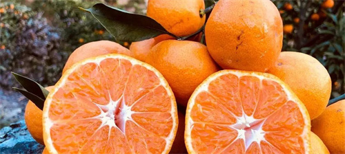 a6f1e9db3e967880ec71b81af8ab1dbd.jpg 1.jpg