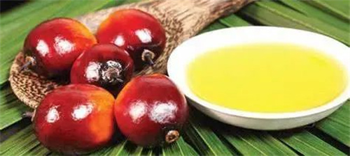 f0a95a70c4272ca2e15ed154b362ffab.jpg 4.jpg