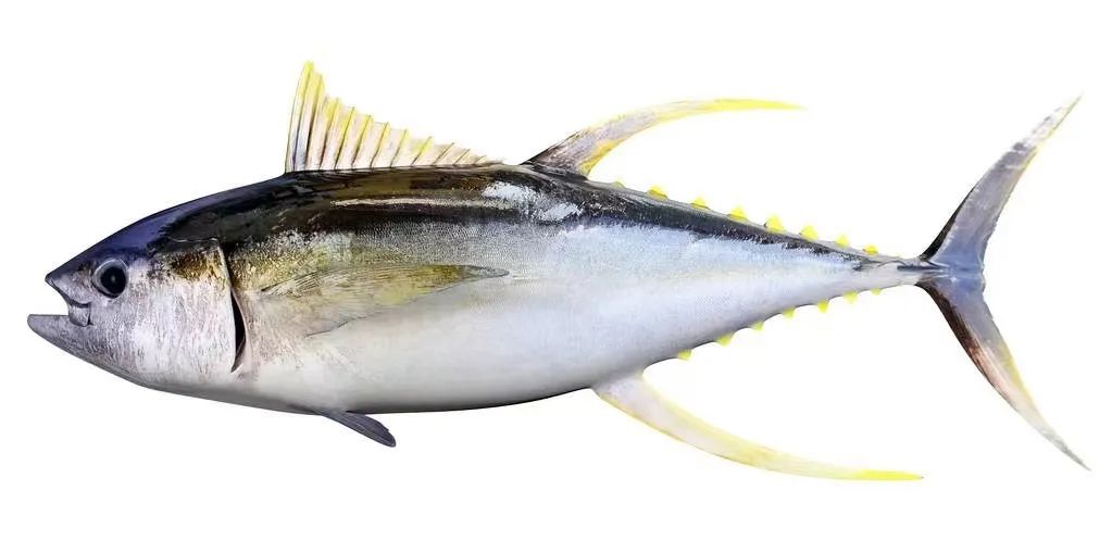 0390be50f7d96ffc21d6ecaa27309be7.jpg 0390be50f7d96ffc21d6ecaa27309be7.jpg