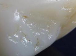 c7c7173d76fe8ac76a5e9fd2013488d2.png 牛羊油脂.png