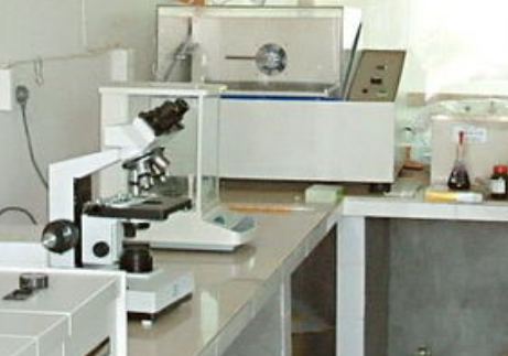 eb3fd23f5e4cd21de7bd93cca0d7ef62.png 科研设备.png