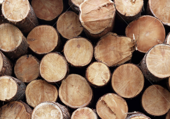 b2786357caacb992b88d88e5f4781aef.png b2786357caacb992b88d88e5f4781aef.png