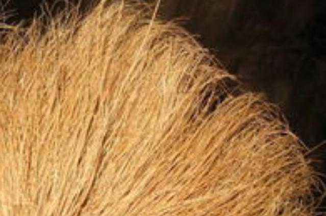 2902b752ff1d2d1f4e10cff3b300a2c7.png 2902b752ff1d2d1f4e10cff3b300a2c7.png