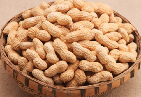 67020478fac8ce8ba514519a957194d9.png 花生.png