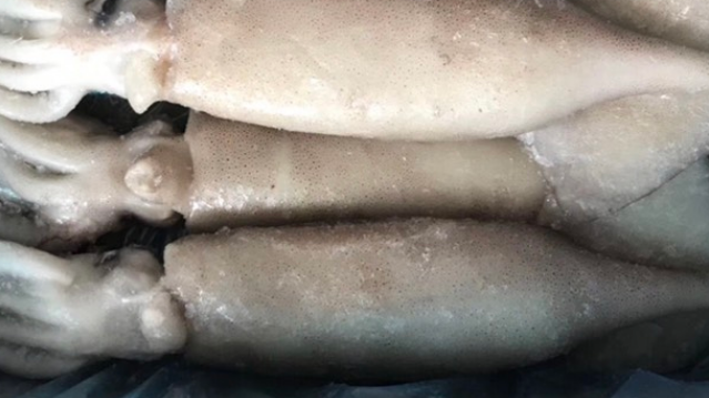 eb4079f166fc6b06f1a19959e2a9de26.png eb4079f166fc6b06f1a19959e2a9de26.png