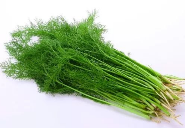 3d5fab4908fe846e2ae35898215c8ff0.png 3d5fab4908fe846e2ae35898215c8ff0.png