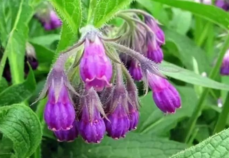 48d4cfd96d319e6314308ba6c84e54ed.png 48d4cfd96d319e6314308ba6c84e54ed.png