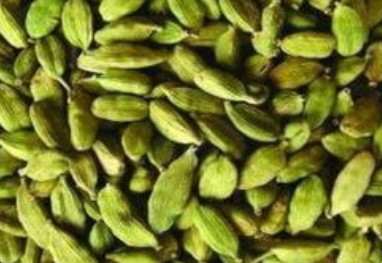 7561dee298b7c5fa30e1c52145306ad2.png 绿豆蔻.png