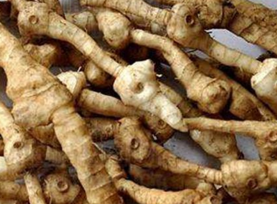 4380e3ab44c1951ae55fc9edb62f90f4.png 黄精.png