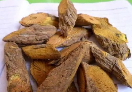 4c06e806be44a4a9743788307bd97dfb.png 黄藤.png