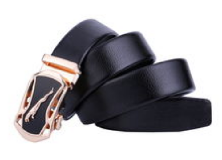 【进口案例】进口美国皮带深圳报关清关流程 【进口案例】进口美国皮带深圳报关清关流程