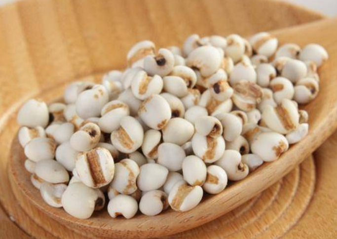 bbcba6c0e603c379cb1bbb26993b7840.png 薏米.png