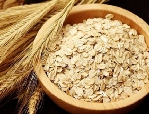 06206f33b073fde869d68351848e6400.png 燕麦片.png