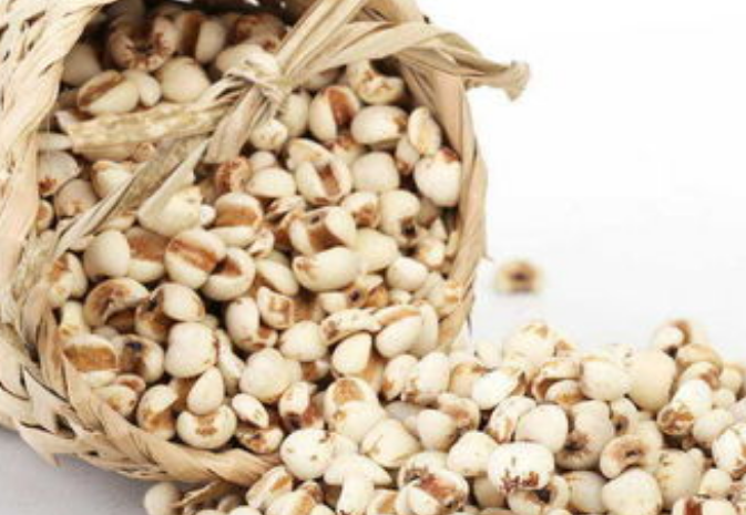 809ab0df041d25412f6fe4e7c0cc5de8.png 薏米.png