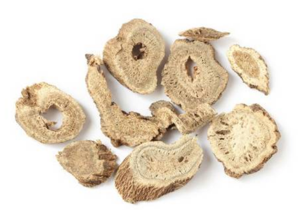 854176399eb6f1a00523b8a9d6e08006.png 木香.png