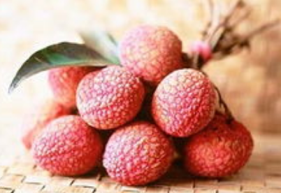 5e7120a0f843a9cc3693160202d6ee87.png 荔枝.png