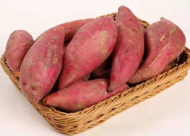 9fa7e6286c1cfc5189e77213498a537b.png 9fa7e6286c1cfc5189e77213498a537b.png