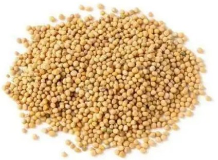 1041da0e518fe1c85efcc9456ff396f2.png 芥子.png