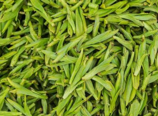 156cb8da4827cdf7dce0e3eaff508988.png 茶叶.png