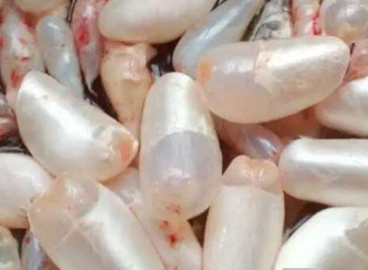 4962421b9e9ee87c4aac34434374389d.png 鱼鳔.png