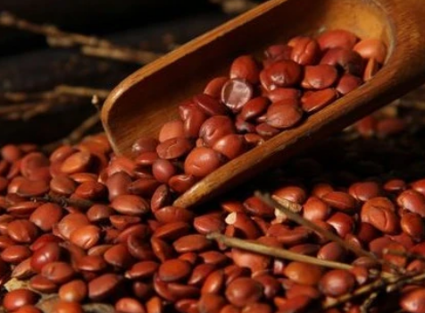 8d7c41b155ca66852a82b73054b1301a.png 酸枣仁.png