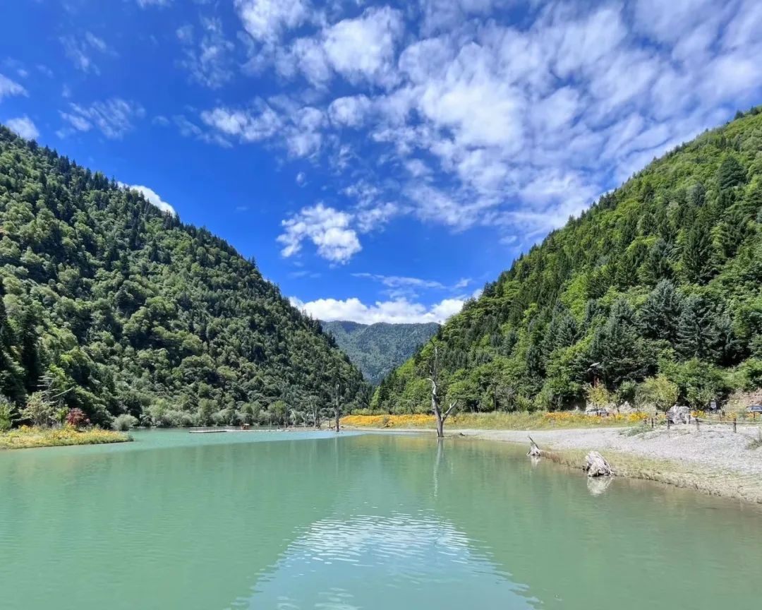 15dfe628c40e048e7ccad535b9b1d971.jpg 15dfe628c40e048e7ccad535b9b1d971.jpg