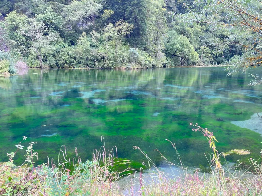 9fac53b8fe9df7c5adbb601a9475a580.jpg 9fac53b8fe9df7c5adbb601a9475a580.jpg