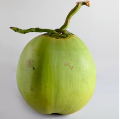 fb164d463feb0aed06b8b0fa6964b44f.png 椰青进口.png