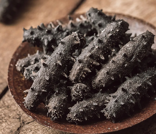 进口干海参清关需要哪些资质? 进口干海参清关需要哪些资质?