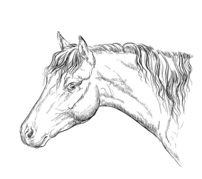 58e93639a2b060dbbe92b543e17fcb84.png 手绘画.png