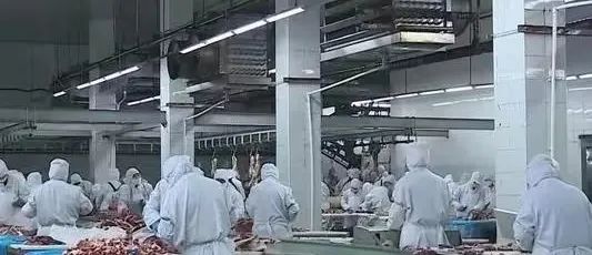 347fbb2a338e22e07f08592ebbb970e6.jpg 3.jpg