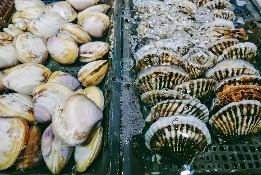 b3c8aa0261864e98163915d378355267.jpg 图片1.jpg