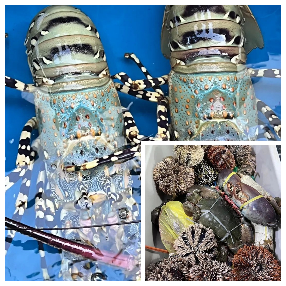 f7f1876737fe570c244a4e41b67f6e1c.jpg 图8.jpg