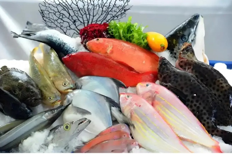 政策解读丨海关总署关于进口新加坡养殖水产品检验检疫要求的公告 政策解读丨海关总署关于进口新加坡养殖水产品检验检疫要求的公告