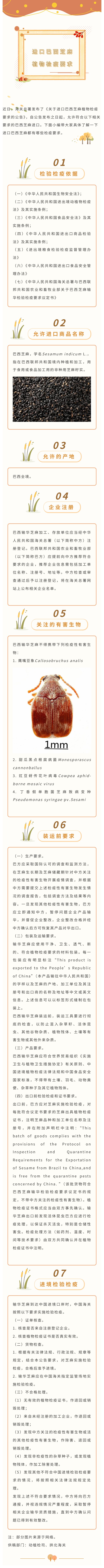 b28e3eb9176a8541aca66f236443eb34.jpg 巴西芝麻进口.jpg