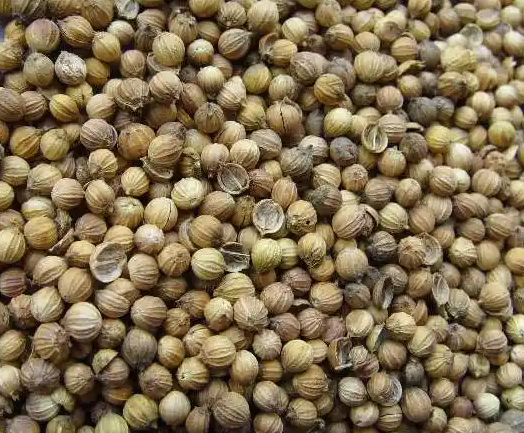 ab96f417c7e86837fe4ab9d1672c6a78.jpg 香菜籽进口.jpg