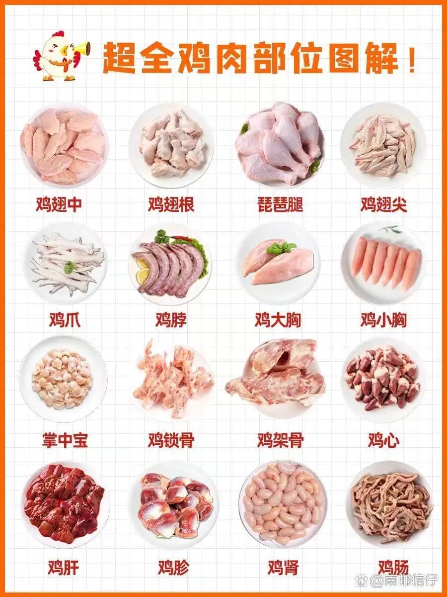 340b2838db7886c6c6aa6188d1b6d53a.jpg 鸡肉3.jpg