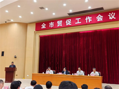 pluto4u董事长参加东莞市2025年贸促工作会议和外贸企业代表座谈会 pluto4u董事长参加东莞市2025年贸促工作会议和外贸企业代表座谈会