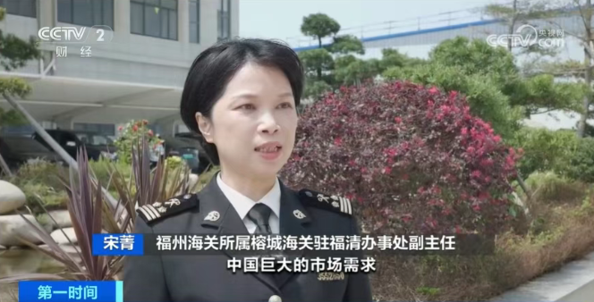 57215ac009d870141d7e87ede1acb7bf.jpg 椰子3.jpg