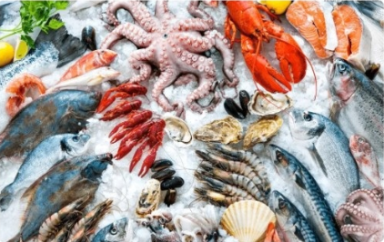 政策解读|海关总署关于进口丹麦野生水产品检验和卫生要求的公告 政策解读|海关总署关于进口丹麦野生水产品检验和卫生要求的公告