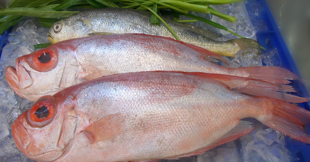 2b740c09134e9c8c34189fc177c759b6.jpg 冰鲜鱼.jpg