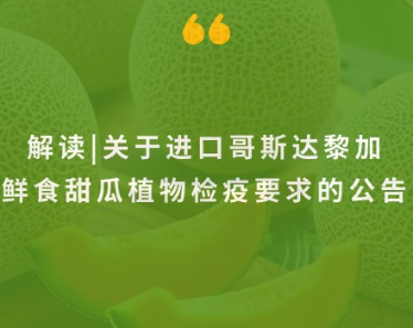 政策解读 | 进口哥斯达黎加鲜食甜瓜植物检疫要求 政策解读 | 进口哥斯达黎加鲜食甜瓜植物检疫要求
