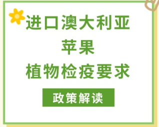 政策解读 | 海关总署关于进口澳大利亚鲜食苹果植物检疫要求 政策解读 | 海关总署关于进口澳大利亚鲜食苹果植物检疫要求