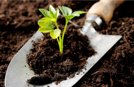 【政策解读】进境植物源性肥料植物检疫要求 【政策解读】进境植物源性肥料植物检疫要求