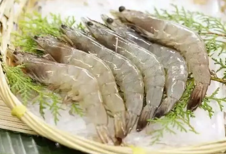 【进口知识】进口虾怎么选?这份“吃虾指南”请收好! 【进口知识】进口虾怎么选?这份“吃虾指南”请收好!