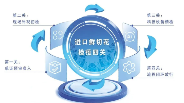 【进口知识】进口鲜切花通关要闯哪“四道关”? 【进口知识】进口鲜切花通关要闯哪“四道关”?