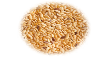 f5fa9a87ad32b9d03a165be348812b36.png 粮食2.png