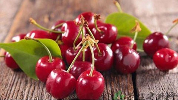 车厘子进口报关 车厘子进口报关