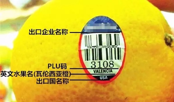 水果标签 水果标签